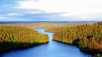Finlândia quer produzir 10% do hidrogénio da UE até 2030