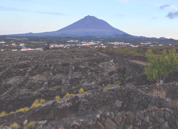 Picowines e a espumantização nos Açores