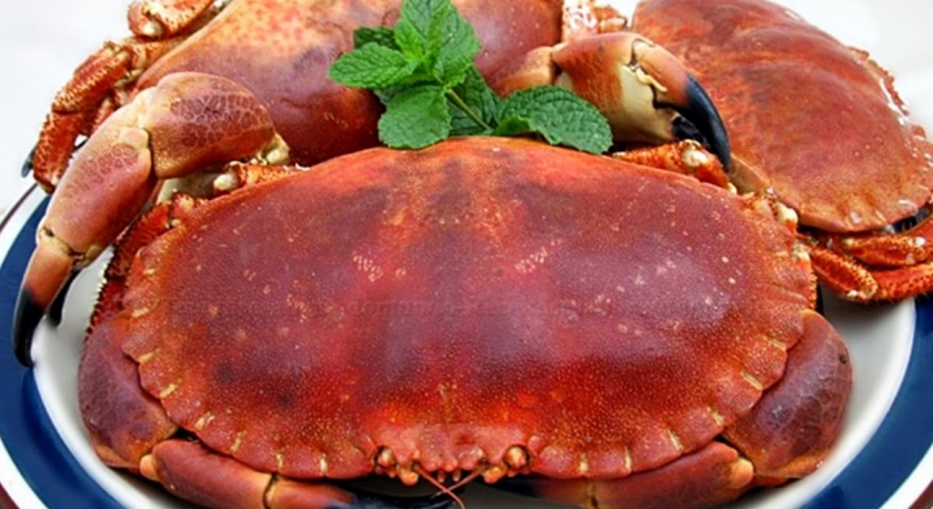 Cresceu a exportação portuguesa de peixe congelado e crustáceos para a China