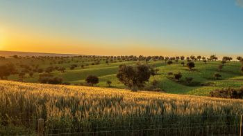 Imagem de Investimentos brasileiros em Algarve, Alentejo e Norte Portugal