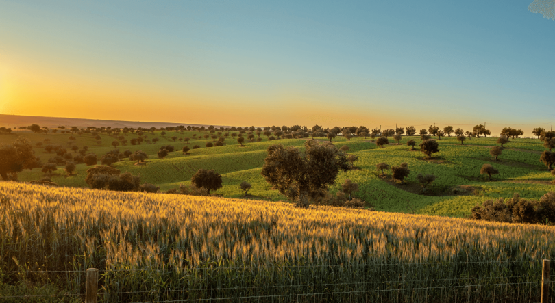 Investimentos brasileiros em Algarve, Alentejo e Norte Portugal