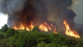 Incêndios 2024: o flagelo continua