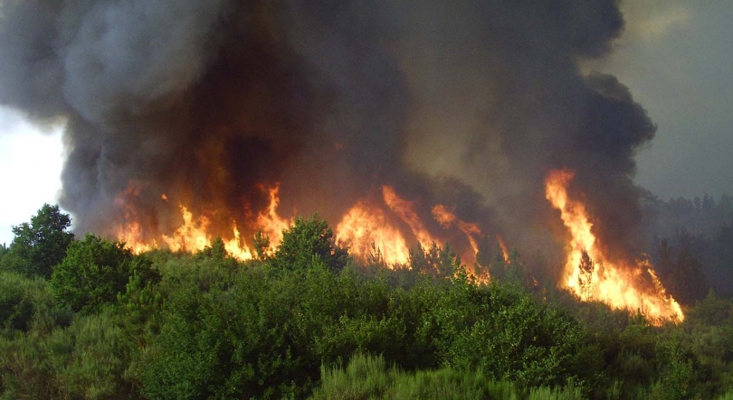 Incêndios 2024: o flagelo continua