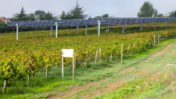 Imagem de Primeiro vinho elétrico-solar de Portugal chega em 2025