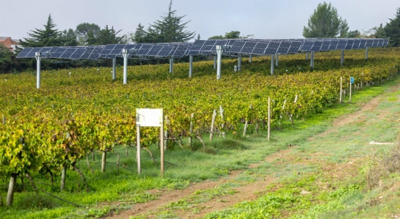 Primeiro vinho elétrico-solar de Portugal chega em 2025