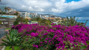 Imagem de A Madeira vai ter um Museu Virtual dedicado à emigração