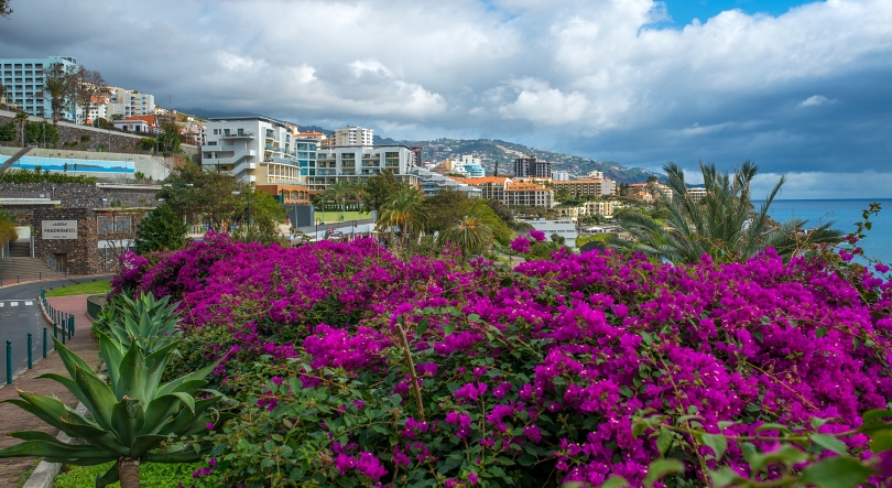 Imagem de A Madeira vai ter um Museu Virtual dedicado à emigração