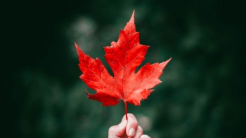 Imagem de Empresas portuguesas podem ganhar com guerra comercial EUA/Canadá