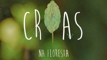Imagem de Crias na Floresta