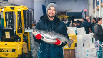 Imagem de Rusgas dos agentes da imigração em empresa de português