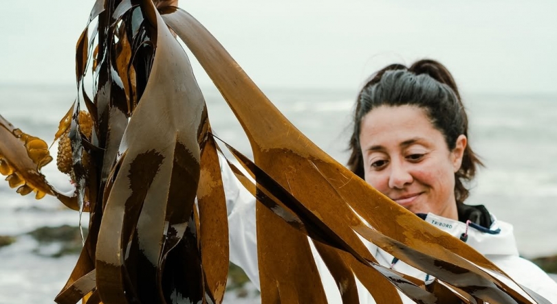 Imagem de Rota das Algas em Isto Faz-se Por Cá