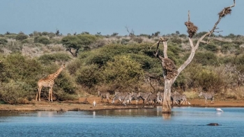 Imagem de Cerca de 1.300 famílias sitiadas em três comunidades de parque moçambicano
