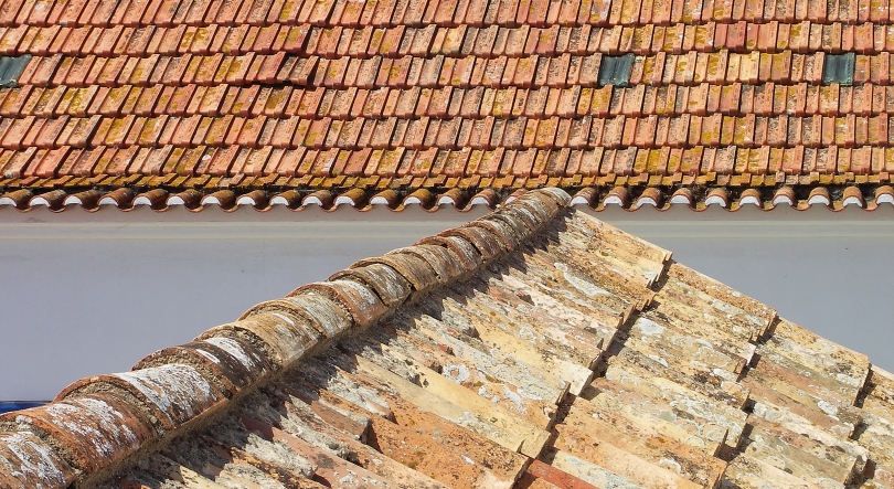 Imagem de Solidariedade chega da Suíça à região de Leiria