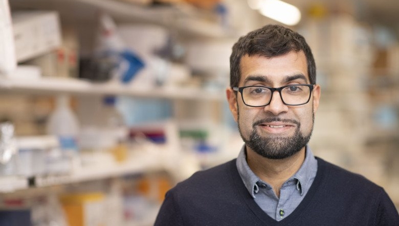 Imagem de Português eleito para decidir Nobel da Medicina