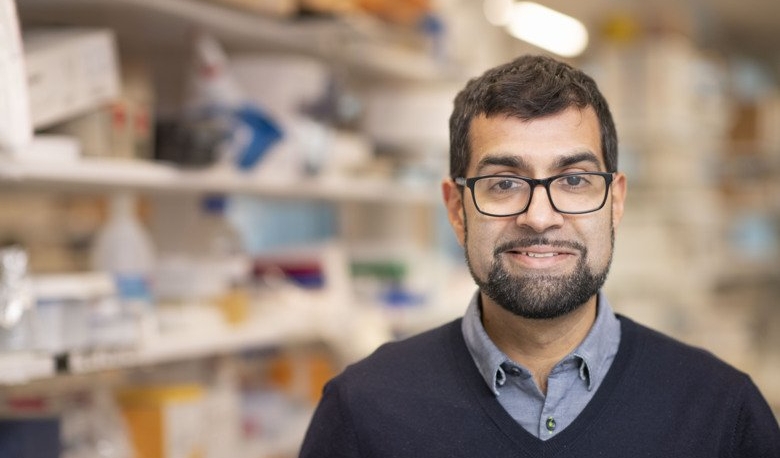 Imagem de Português eleito para decidir Nobel da Medicina